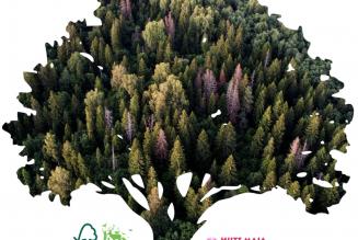 Looduslikud pühapaigad ja metsa majandamine