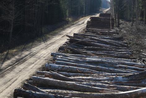 Eesti FSC metsamajandamise standard