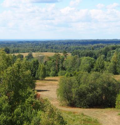 Lõuna-Eesti